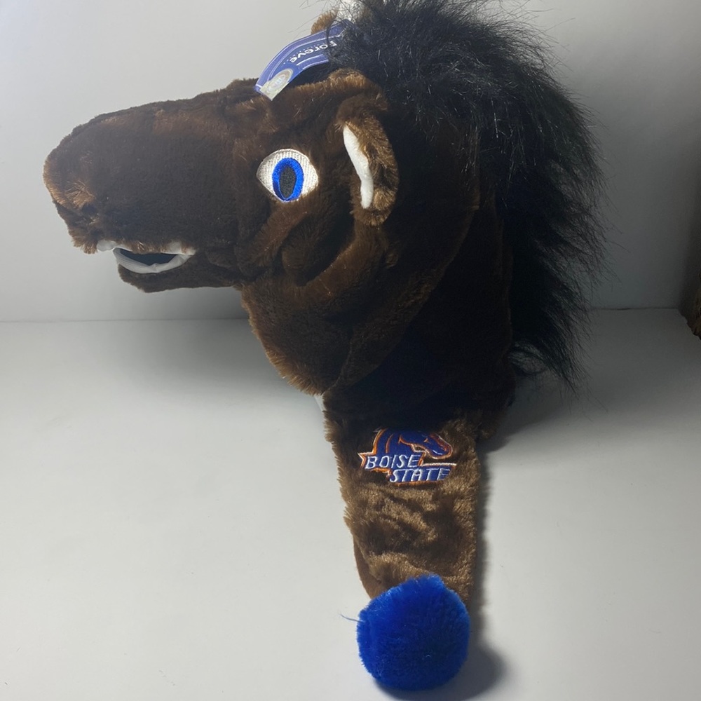 Boise state broncos hat
